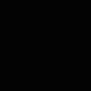 Meet your Posher, Celeste